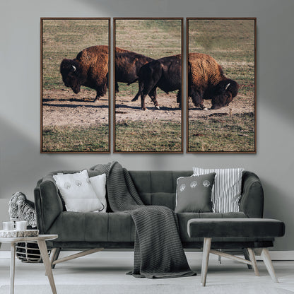 58141885-MGV-CV-36X24-Bison Photography Wall Art Canvas Print, Framed Western Wildlife Art Picture Print, Modern Ranch Perfect Western Rustic Decor