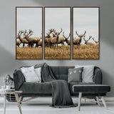42170220-MGV-CV-36X24-Elk Herd Wall Art Canvas Print, Framed Wildlife Photography Art Picture Print, Majestic Antlers Perfect Rustic Wildlife Decor