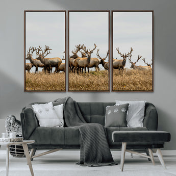 42170220-MGV-CV-36X24-Elk Herd Wall Art Canvas Print, Framed Wildlife Photography Art Picture Print, Majestic Antlers Perfect Rustic Wildlife Decor