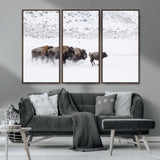 61161423-MGV-CV-36X24-Running Bison Herd Wall Art – Winter Buffalo Canvas Print, Wildlife Photography Decor for Rustic Living Room, Farmhouse, Lodge,