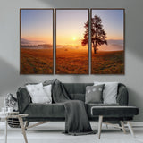 57919623-MGV-CV-36X24-Golden Sunrise Landscape Canvas Wall Art - Framed Misty Field Print, Large Nature Canvas for Living Room, Office, or Home Decor