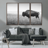 90861202-MGV-CV-36X24-Black and White Bison Canvas Wall Art – Rustic American Buffalo Print, Western Wildlife Photography for Farmhouse, Cabin, Office