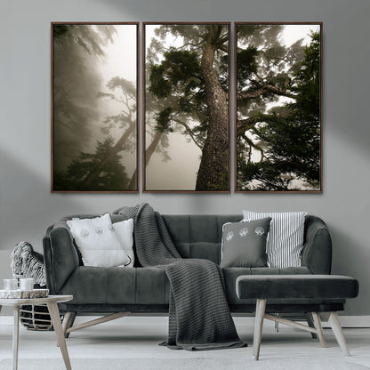 87969493-MGV-FC-48X32-3P_Walnut-Forest Wall Art – Misty Tall Trees Canvas Print, Dramatic Woodland Photography Decor for Bedroom, Living Room, Office, Cabin,