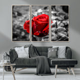 84671-MGV-CV-36X24-Red Rose Wall Art – Vibrant Single Bloom Canvas Print with Black and White Background, Elegant Floral Decor for Living Room,