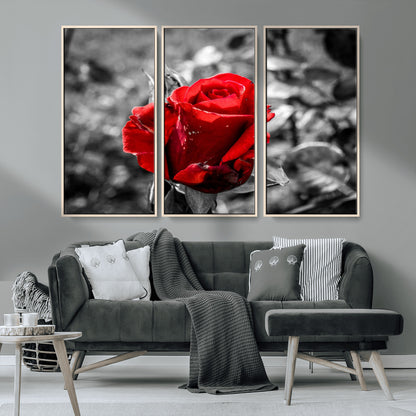 84671-MGV-CV-36X24-Red Rose Wall Art – Vibrant Single Bloom Canvas Print with Black and White Background, Elegant Floral Decor for Living Room,