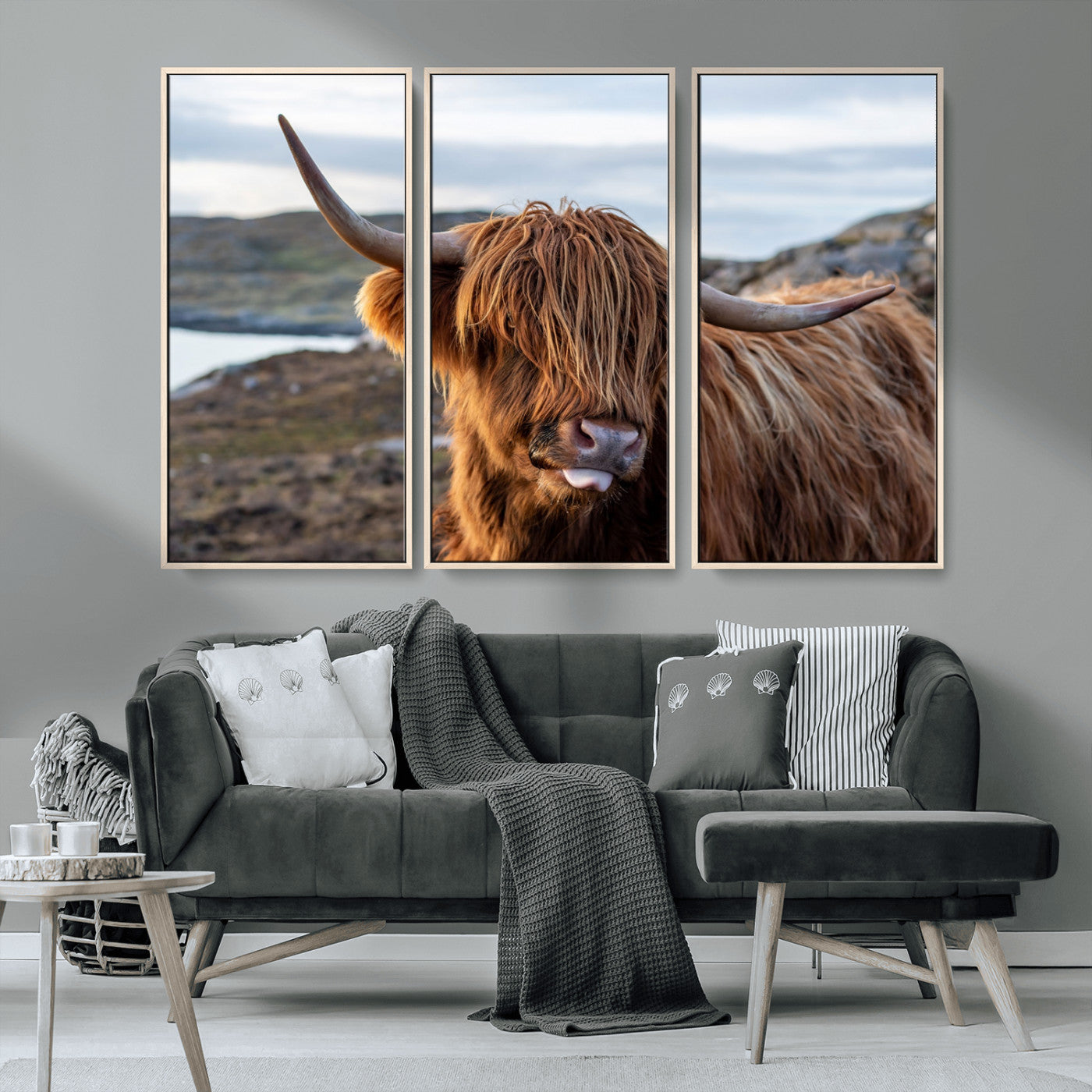71222-MGV-CV-36X24-A playful Highland cow with shaggy fur sticks out its tongue, set against a rugged landscape — perfect for quirky home or office