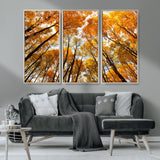 11823-MGV-CV-36X24-Golden Autumn Tree Canopy Wall Art – Stunning Fall Forest Leaves Print, Warm Seasonal Nature Decor for Home, Office or Cabin