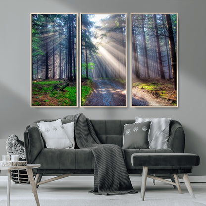 42047-MGV-CV-36X24-Sunlit Forest Path Wall Art – Nature Canvas Print, Serene Woodland Landscape, Perfect Home & Office Decor for Calm and Tranquil