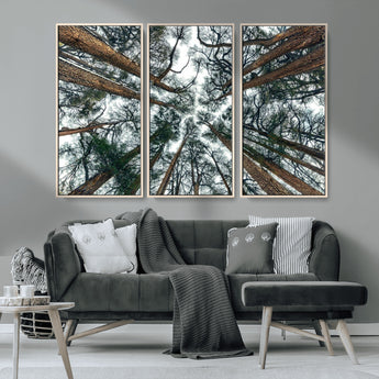 18790-MGV-CV-36X24-Pine Canopy Wall Art – Panoramic View of Towering Pines Canvas Print, Nature-Inspired Decor for Office, Cabin or Living Room