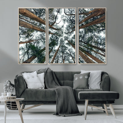 18790-MGV-CV-36X24-Pine Canopy Wall Art – Panoramic View of Towering Pines Canvas Print, Nature-Inspired Decor for Office, Cabin or Living Room