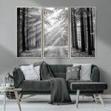 39665-MGV-FC-48X32-3P_Natural-Black and White Forest Path Wall Art – Sunlight Rays in Trees Canvas Print, Nature Landscape Decor for Living Room or Office
