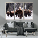 66871-MGV-CV-36X24-Bison Herd Wall Art – Wildlife Buffalo Canvas Print, Rustic Western Nature Photography Decor for Living Room, Office, Cabin, or