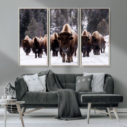 66871-MGV-CV-36X24-Bison Herd Wall Art – Wildlife Buffalo Canvas Print, Rustic Western Nature Photography Decor for Living Room, Office, Cabin, or