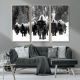 62434-MGV-CV-36X24-Bison Herd Wall Art – Majestic Black and White Buffalo Canvas Print, Wildlife Nature Photography Decor for Living Room, Office or