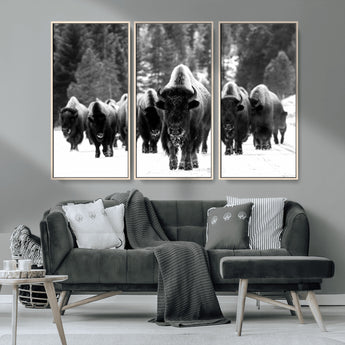 62434-MGV-CV-36X24-Bison Herd Wall Art – Majestic Black and White Buffalo Canvas Print, Wildlife Nature Photography Decor for Living Room, Office or