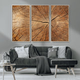 61710-MGV-CV-36X24-Tree Rings Wall Art – Rustic Wood Grain Canvas Print of Tree Trunk Cross Section, Nature Inspired Decor for Cabin, Office, Living