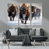 80512-MGV-CV-36X24-Bison Herd Wall Art – Buffalo Running in Snow Canvas Print, Rustic Wildlife Photography Decor for Cabin, Lodge, or Living Room