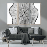 98709-MGV-CV-36X24-Tree Ring Wall Art – Black and White Canvas Print Rustic Wood Cross Section, Minimal Nature Inspired Decor for Living Room,