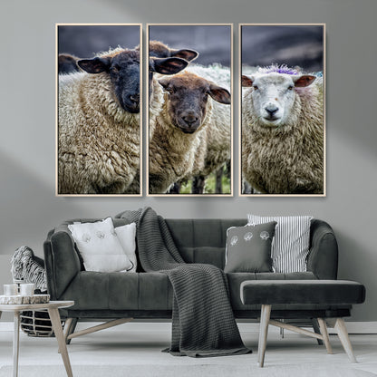 18418-MGV-CV-36X24-Sheep Wall Art Canvas Print, Framed Farmhouse Sheep Art Picture Print, Sheep Herd Perfect Rustic Farmhouse Decor Artwork