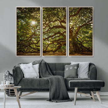 57983-MGV-CV-36X24-Angel Oak Tree Wall Art Canvas Print, Framed Oak Tree Art Picture Print, Angel Oak Perfect Rustic Nature Decor Artwork