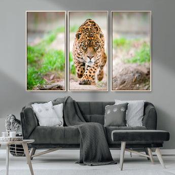 75066-MGV-CV-36X24-Leopard Wall Art Canvas Print, Framed Wild Animal Art Picture Print, Blue Eye Leopard Perfect Wild Minimal Decor Artwork
