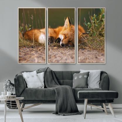 25085-MGV-CV-36X24-Sleeping Fox Wall Art Canvas Print, Framed Rustic Fox Art Picture Print, Wildlife Animal Perfect Rustic Farmhouse Decor Artwork