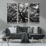 132944706-MGV-CV-36X24-Ancient Tree Wall Art – Black and White Photography Canvas Print Featuring Majestic Twisting Branches, Rustic Nature Artwork for