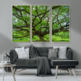 49375306-MGV-CV-36X24-Ancient Tree Wall Art Canvas Print, Framed Sprawling Branches Art Picture Print, Gnarling Tree Perfect Earthy Natural Decor
