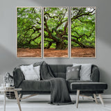 51255351-MGV-CV-36X24-Ancient Tree Wall Art – Majestic Oak Canvas Print, Large Nature Photography, Sacred Forest Landscape Wall Décor, Wisdom Tree