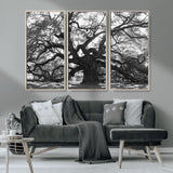 81655611-MGV-CV-36X24-Ancient Oak Wall Art Canvas Print, Framed Twisted Branches Art Picture Print, Gnarled Tree Perfect Moody Nature Decor Artwork