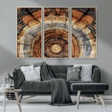 15184146-MGV-CV-36X24-Tree Rings Wall Art Canvas Print, Framed Wood Texture Art Picture Print, Rustic Pattern Perfect Rustic Organic Decor Artwork