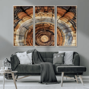 15184146-MGV-CV-36X24-Tree Rings Wall Art Canvas Print, Framed Wood Texture Art Picture Print, Rustic Pattern Perfect Rustic Organic Decor Artwork
