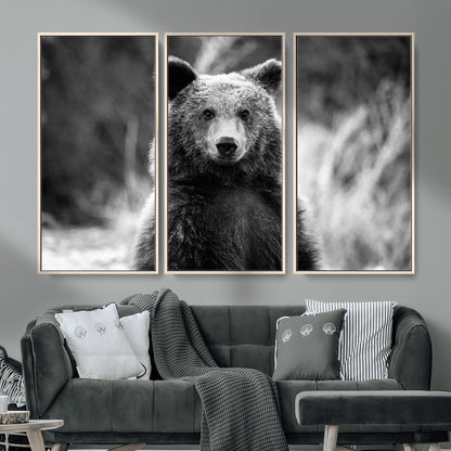 MGV-FC-48X32-3P - Grizzly Bear Wall Art Canvas Print, Framed Black White Bear Art Picture Print, Wild Bear Perfect Rustic Wildlife Decor Artwork