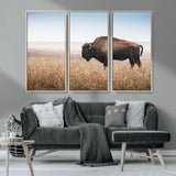 91267849-MGV-CV-36X24-Wild Bison Wall Art Canvas Print, Framed Bison in Prairie Art Picture Print, Rustic Western Perfect Rustic Western Decor Artwork