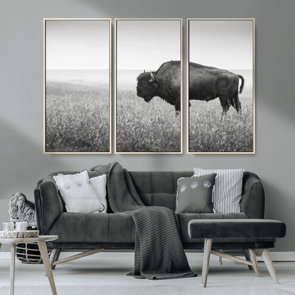 28435251-MGV-CV-36X24-Bison In Prairie Wall Art Canvas Print, Framed Rustic Wildlife Art Picture Print, Wild Buffalo Perfect Rustic Western Decor