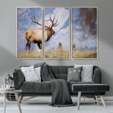 26365841-MGV-CV-36X24-Mountain Elk Art Wall Art Canvas Print, Framed Rustic Wildlife Print Art Picture Print, Lodge Style Decor Perfect Rustic Lodge