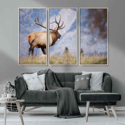 26365841-MGV-CV-36X24-Mountain Elk Art Wall Art Canvas Print, Framed Rustic Wildlife Print Art Picture Print, Lodge Style Decor Perfect Rustic Lodge