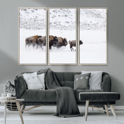 56216945-MGV-CV-36X24-Bison Herd Decor Wall Art Canvas Print, Framed Snowy Bison Scene Art Picture Print, Winter Wildlife Theme Perfect Rustic Western