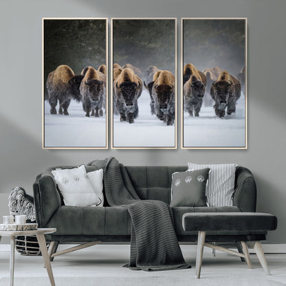 41669135-MGV-CV-36X24-Bison Herd Scene Wall Art Canvas Print, Framed Rustic Wildlife Decor Art Picture Print, Snowy Bison Landscape Perfect Rustic