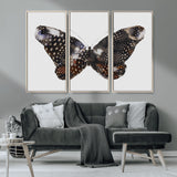 99831147-MGV-CV-36X24-Spotted Butterfly Wall Art Canvas Print, Framed Neutral Insect Theme Art Picture Print, Earthy Wing Pattern Perfect Modern Rustic