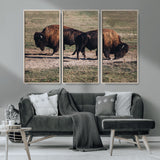 58141885-MGV-CV-36X24-Bison Photography Wall Art Canvas Print, Framed Western Wildlife Art Picture Print, Modern Ranch Perfect Western Rustic Decor