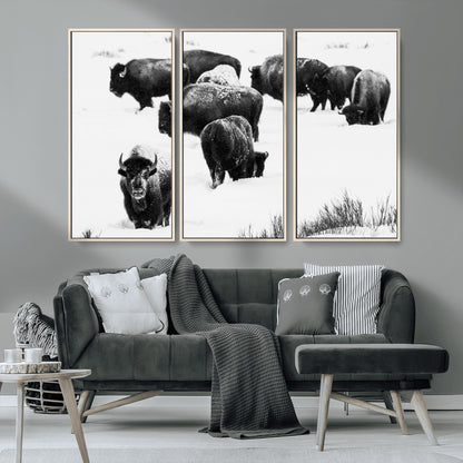 18914414-MGV-CV-36X24-Buffalo Herd Wall Art Canvas Print, Framed Black and White Art Picture Print, Snowy Landscape Perfect Rustic Lodge Decor Decor