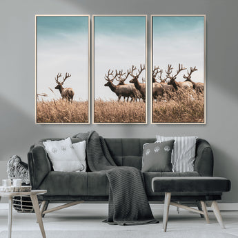 81594705-MGV-CV-36X24-Elk Herd Wall Art Canvas Print, Framed Wildlife Photography Art Picture Print, Rustic Nature Print Perfect Rustic Wildlife Decor