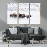61161423-MGV-CV-36X24-Running Bison Herd Wall Art – Winter Buffalo Canvas Print, Wildlife Photography Decor for Rustic Living Room, Farmhouse, Lodge,