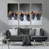 30332489-MGV-CV-36X24-Winter Bison Herd Wall Art – Powerful Buffalo Canvas Print, Rustic Wildlife Photography Decor for Farmhouse, Cabin, Lodge, Living