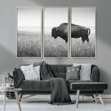 90861202-MGV-FC-48X32-3P_Natural-Black and White Bison Canvas Wall Art – Rustic American Buffalo Print, Western Wildlife Photography for Farmhouse, Cabin, Office