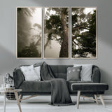 87969493-MGV-FC-48X32-3P_Natural-Forest Wall Art – Misty Tall Trees Canvas Print, Dramatic Woodland Photography Decor for Bedroom, Living Room, Office, Cabin,
