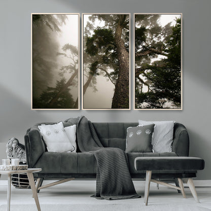 87969493-MGV-FC-48X32-3P_Natural-Forest Wall Art – Misty Tall Trees Canvas Print, Dramatic Woodland Photography Decor for Bedroom, Living Room, Office, Cabin,