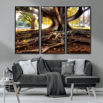 53335-MGV-CV-36X24-Majestic Tree with Sprawling Roots Wall Art – Serene Sunlit Park Scene, Nature Canvas Print, Perfect for Living Room, Office or