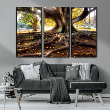 53335-MGV-CV-36X24-Majestic Tree with Sprawling Roots Wall Art – Serene Sunlit Park Scene, Nature Canvas Print, Perfect for Living Room, Office or